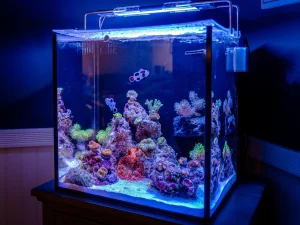 Ishrav marine aquarium cube 24 inch