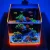 Marine Nano Aquarium 12 inch