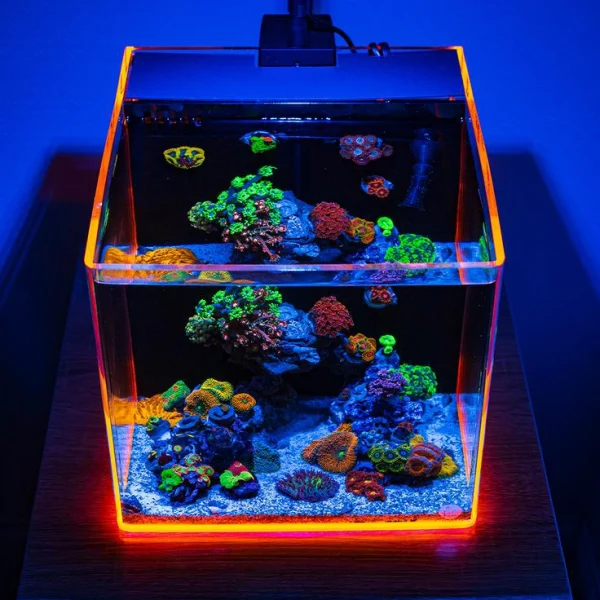 Marine Nano Aquarium 12 inch