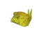 Yellow Boxfish (Ostracion cubicus)