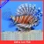 Zebra Lion Fish