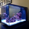 10ft Marine Aquarium