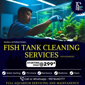 Expert Cleaning and Servicing