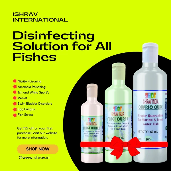 Disinfecting Solution for All Fishes Combo Pack