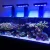 ishrav aquarium 10ft