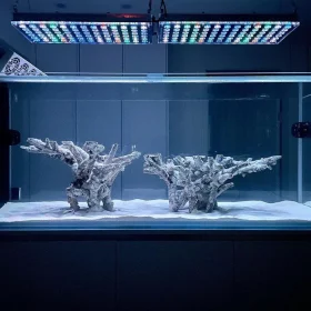 ishrav marine aquarium 10 ft