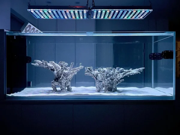 ishrav marine aquarium 10 ft