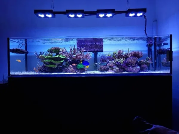 Marine Aquarium 8ft / 96 inch