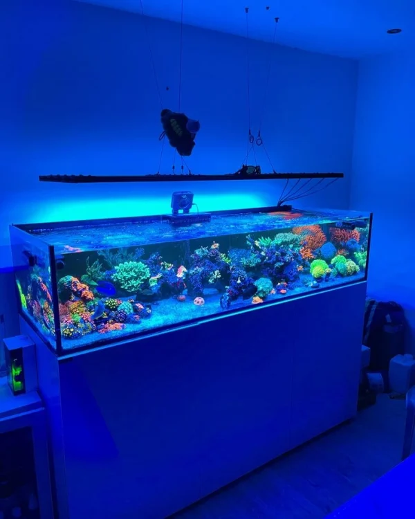 Marine Aquarium 7ft / 84 inch