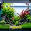 fresh water aquarium